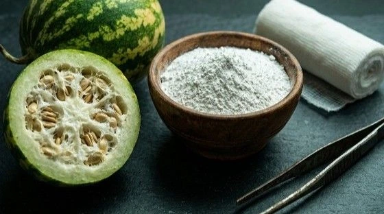 Foot corn removal using Bitter Apple